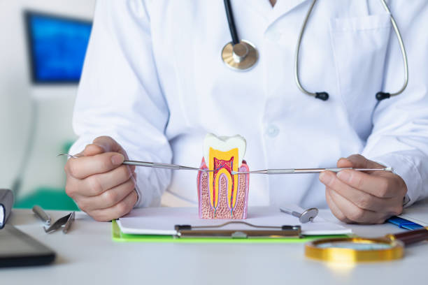 Best Emergency Broken Tooth Repair in Garfield, NJ